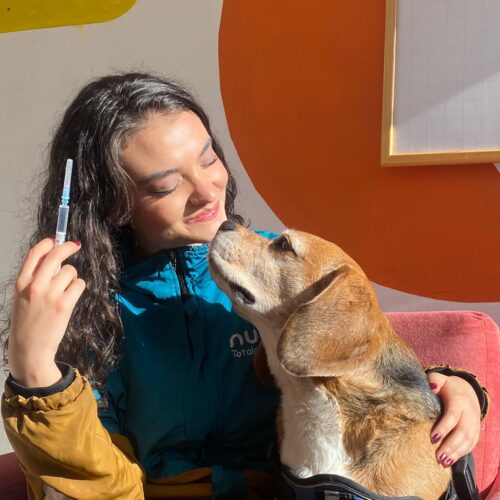 💉 Esquema de Vacunación Anual (Perros y Gatos)