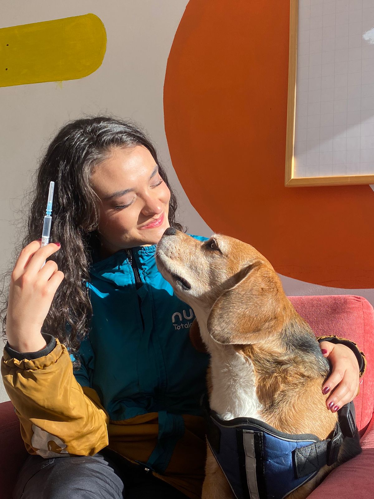 💉 Esquema de Vacunación Anual (Perros y Gatos)