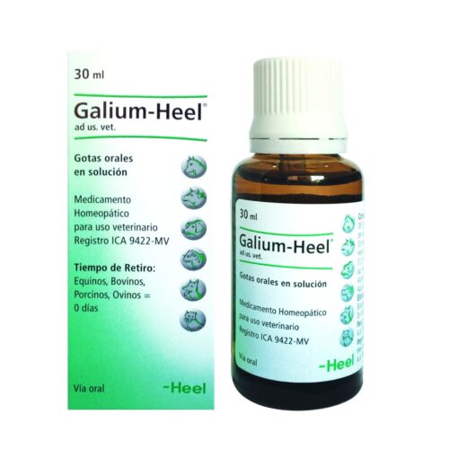 Galium Heel