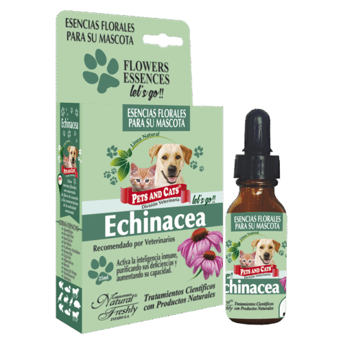 PC-ESENCIA-ECHINACEA.png Esencia Echinacea