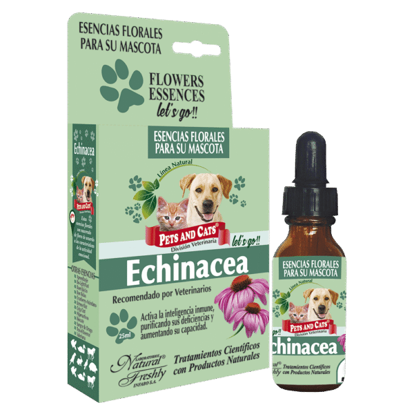 Esencia Echinacea