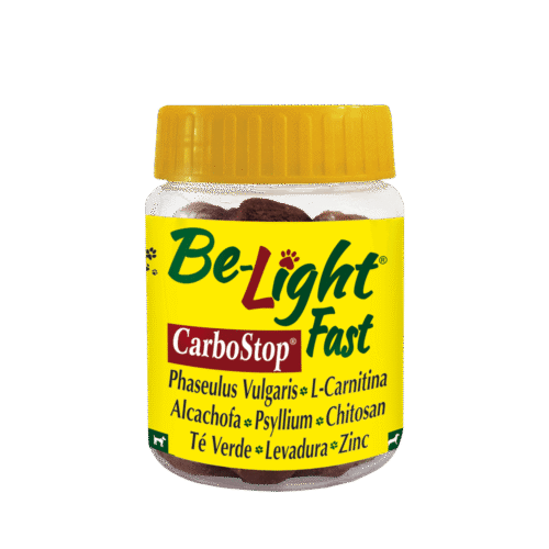BELIGHT FAST