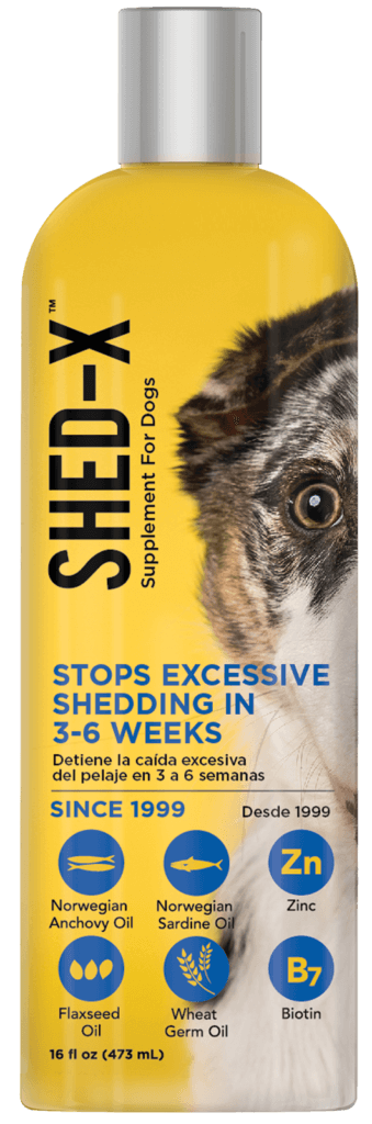 SHED-X Perros