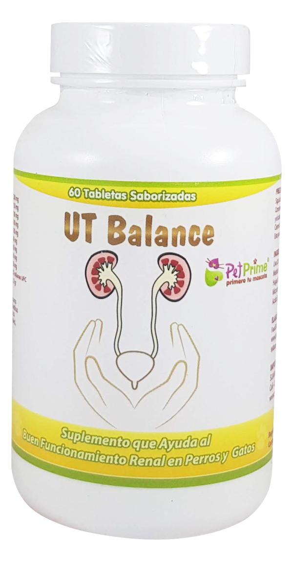 UT-Balance.png UT Balance
