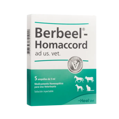 Berbeel ampolla