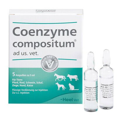 Coenzyme ampolla