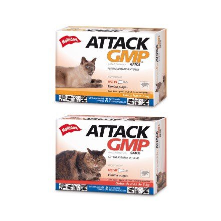 ATTACK GMP GATO